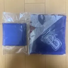 Item thumbnail for item 894dd6df-940f-4364-ad67-fe0c22199b3f