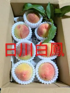 日川白鳳　早生桃　和歌山県産のサムネイル