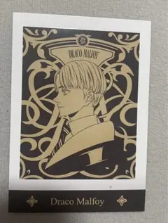 ドラコ・マルフォイ ぱしゃこれ まとめ売り スリザリン 2025年最新】ドラコ・マルフォイ ぱしゃこれの人気アイテム