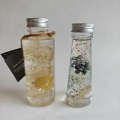 하바리움, 2개 세트, 드라이 플라워, 인테리어 용품, 보태니컬, 소형