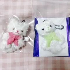 2025年最新】パラチア プリンスキャットの人気アイテム - メルカリ