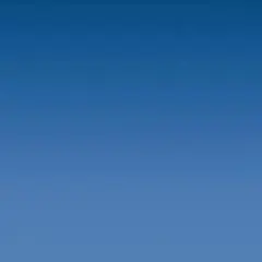 そそ様　専用