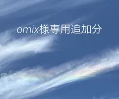 omix様　専用追加分