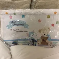 新品 ディズニー　ダッフィー スリーピータイム　スーベニアランチケース