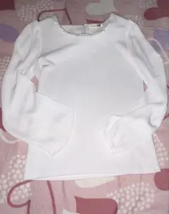 Item thumbnail for item 1e90f1d5-954f-478c-adbd-e5d9e5ca3bd9