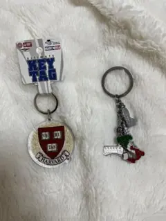 2026年最新】ハーバード大学の人気アイテム - メルカリ