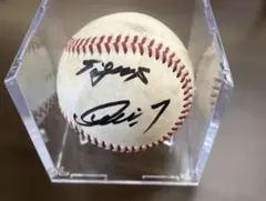 阪神タイガース佐藤輝明選手 ホームランボール 2024シーズン - メルカリ