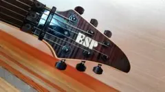 ESP HORIZON CUSTOM sbkのサムネイル