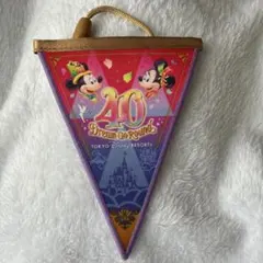 ディズニー 40周年 ガーランド ピンク紫のサムネイル