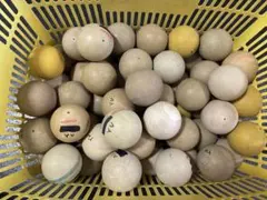 ソフトテニス中古ボール60個セット