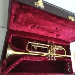 2025年最新】holton T101の人気アイテム - メルカリ