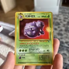 カナリア@まとめ買い受付中様 リクエスト 2点 まとめ商品