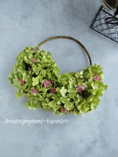 ✨️アナベル！ドライフラワー！ハーフリース✨️