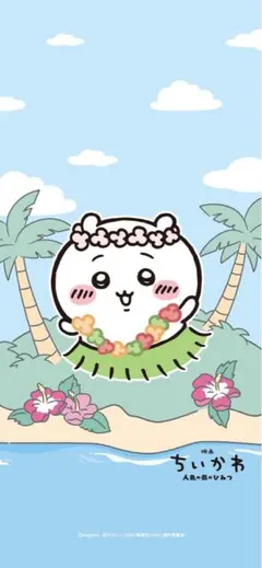 限定品