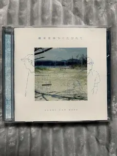 SUNNY CAR WASH CD