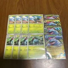 メガフシギバナ ex rr 進化ライン　各4枚