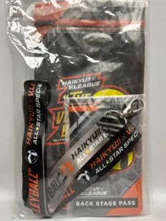 美品 ハイキュー×Vリーグ チケットホルダー&バッグステージパス : ハイキュー Vリーグ チケットホルダー パス風カード ID