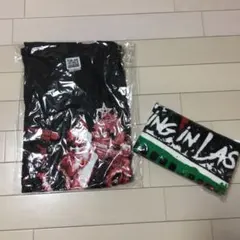2026年最新】falilv tシャツの人気アイテム - メルカリ