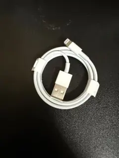 Apple 純正 Lightningケーブル 1m