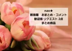 nao★ 断捨離　おまとめ・コメント歓迎様 リクエスト 2点 まとめ商品
