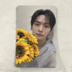 リノ SUIATSU 予約特典 バンテリンドーム 名古屋9/6 購入特典