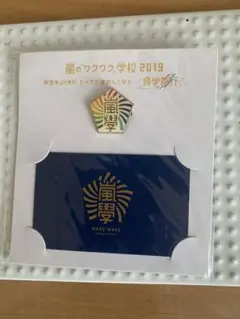 新品未開封　嵐のワクワク学校 2019ピンバッジ