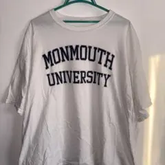 カレッジtシャツ