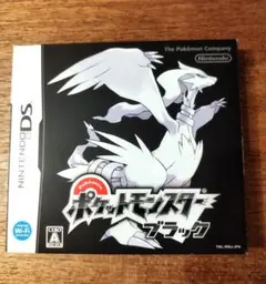 ポケットモンスター　ブラック