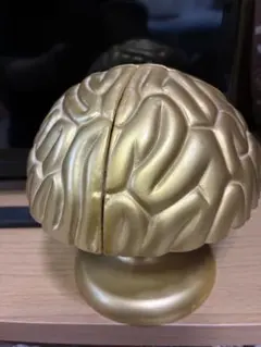本物】トリビアの泉 金の脳 へぇ タモリ 八嶋智人 高橋克実 - メルカリ