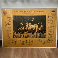 Item thumbnail for item 0cbad405-3a69-45c8-938a-2178f3ecb651