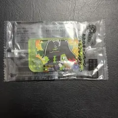 포켓몬 프렌다 지가르데