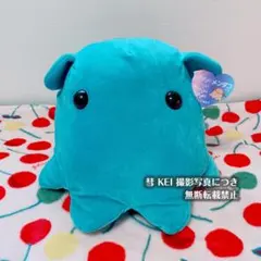 もちぷに水族館　BIGぬいぐるみ　メンダコくん（青緑）