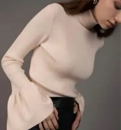 ミニオンheve ヘイヴ スズランカフスリーブニット ベビーピンク新品 2025年最新】HEVEの人気アイテム - メルカリ