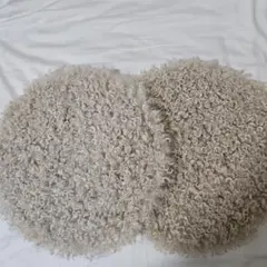 IKEA MADONNALILJA クッションパッド 32cm