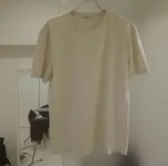 ZARA　ストレッチTシャツ　オフホワイト