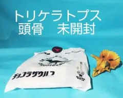 Item thumbnail for item dba51306-4cd6-43a1-a046-c875505ceced