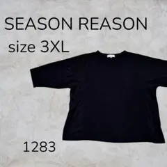SEASON REASON トップス レース 半袖 花柄 ふくれジャガード　古着のサムネイル