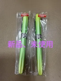 プラチナ万年筆PLAISIR10周年特別限定モデル　カントリーサンシャインのサムネイル
