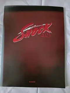 EndlessShockパンフレットなど15セット 2026年最新】Endless SHOCK パンフの人気アイテム - メルカリ