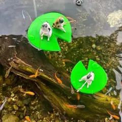 Shun様 リクエスト 2点 まとめ商品