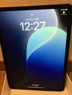 【ジャンク品】iPad Pro 11インチ　256GB