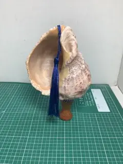 ヤフメリ68・法螺貝・山伏・修験者・戦国武将・金峯山・出羽三山・熊除笛・鬼滅の刃 ヤフメリ68・法螺貝・山伏・修験者・戦国武将・金峯山・出羽三山