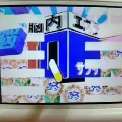 脳内エステ IQサプリ DSソフト中古品