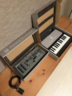 Roland JUNO-DS61W キーボードシンセサイザー ソフトケース付き - メルカリ