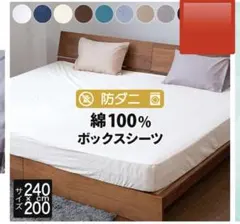 Item thumbnail for item 2461d800-7947-4974-97cc-b72439c82e76