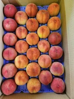 桃【あかつき】⑤家庭用 山形県産 5キロ箱詰め 28玉入りのサムネイル