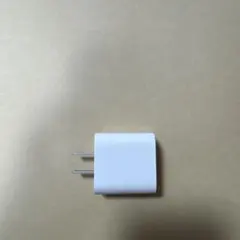 26 SB Apple純正 iPhone/iPad USB-C 20W 急速充電