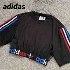 アディダス クロップド トリコロール Tシャツ