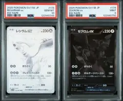 レシラム ゼクロムexSARセット 2025年最新】ゼクロムex SARの人気アイテム - メルカリ