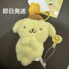 サンリオキャラクターズ 洗濯ばさみに挟まれちゃった！マスコット